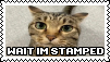 WAIT IM STAMPED